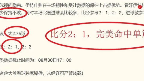 本菲卡大胜解析：连续6场全中，轻松模式开启